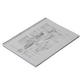 Carnet Anatomie grise (Côté gauche)