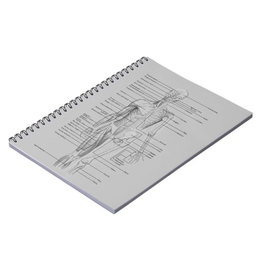 Carnet Anatomie grise (Côté gauche)