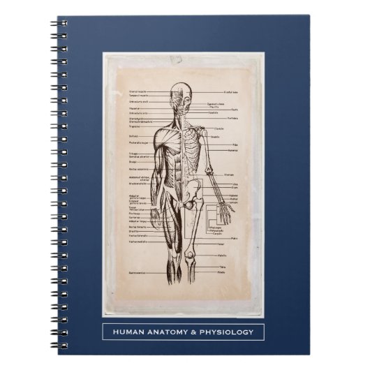 Carnet Anatomie humaine et physiologie Customisée (Devant)