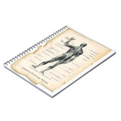 Carnet Anatomie Posterior (Côté gauche)