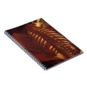 Carnet Anatomie/Squelette de femelle (Côté Droit)