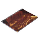 Carnet Anatomie/Squelette de femelle (Côté gauche)