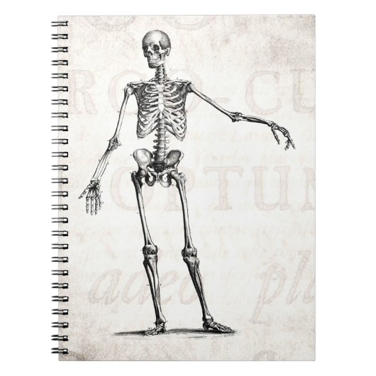 Carnet Anatomie squelettique de squelettes de 1800s (Devant)