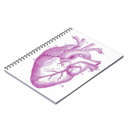 Carnet Anatomie vintage pourpre de coeur (Côté gauche)