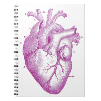 Carnet Anatomie vintage pourpre de coeur