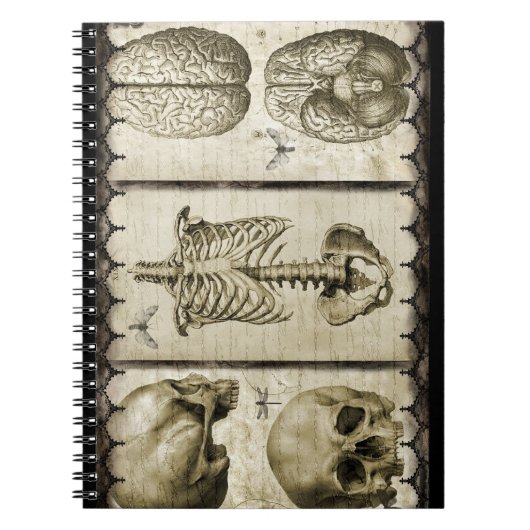 Carnet Anatomisez (Devant)