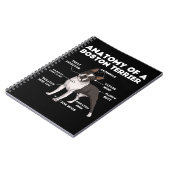 Carnet Anatomy (Côté gauche)