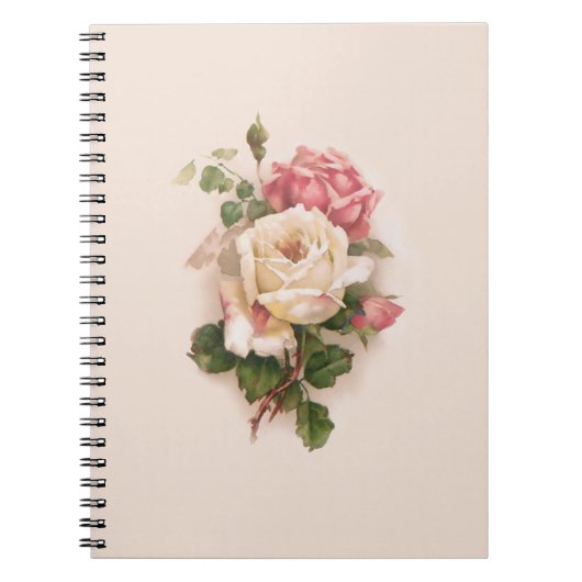 Carnet Ancien Arrière - plan blanc/rose Roses-Buff (Devant)