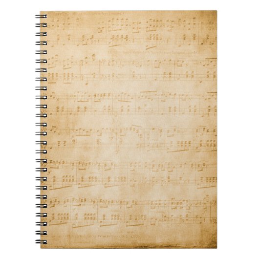 Carnet ancien parchemin vintage Arrière - plan (Devant)