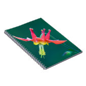 Carnet Ancolie rouge (Côté Droit)