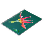 Carnet Ancolie rouge (Côté gauche)