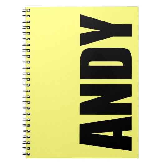 Carnet Andy (Devant)