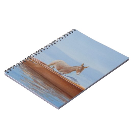 Carnet Âne dans un Riva 2010 (Côté gauche)