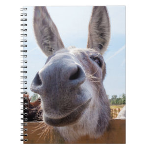 Carnet âne souriant
