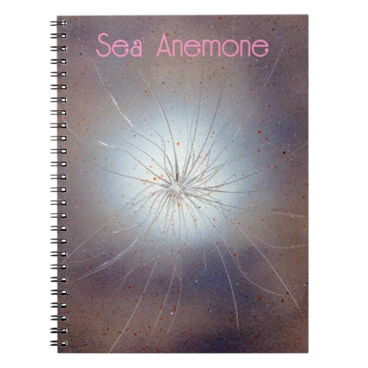 Carnet Anémone de mer (Devant)