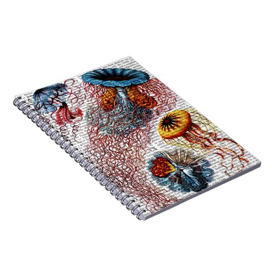 Carnet Anémone de mer (Côté Droit)