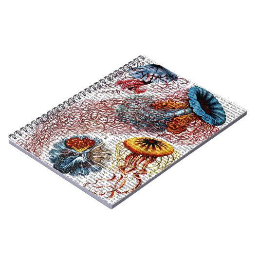 Carnet Anémone de mer (Côté gauche)