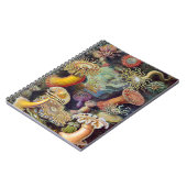 Carnet Anémone de mer Nature scientifique Océan (Côté gauche)