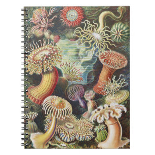 Carnet Anémones de mer de Haeckel Collage d'art de vie na