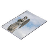 Carnet ange solitaire (Côté gauche)