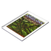 CARNET ANGEL OAK - CHARLESTON SOUTH CAROLINA US (Côté gauche)