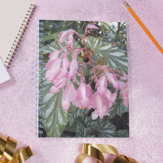 Carnet Angel rose aile Begonia Floral