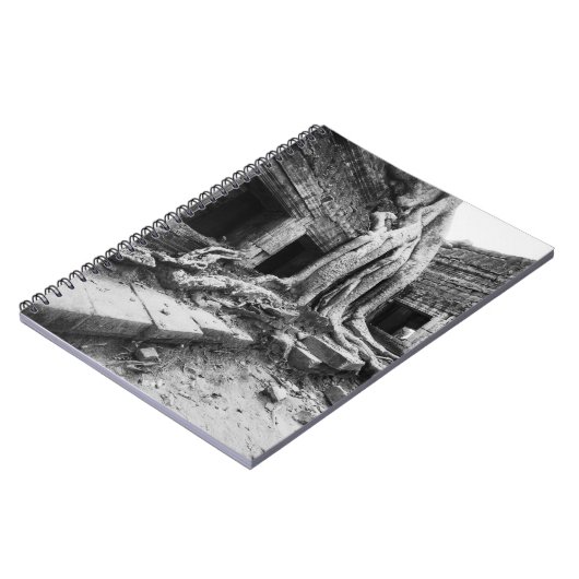 Carnet Angkor Cambodia, Ta Prohm Tree (Côté gauche)