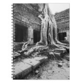 Carnet Angkor Cambodia, Ta Prohm Tree (Devant)