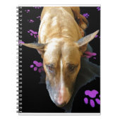 Carnet anglais de bull-terrier (Devant)