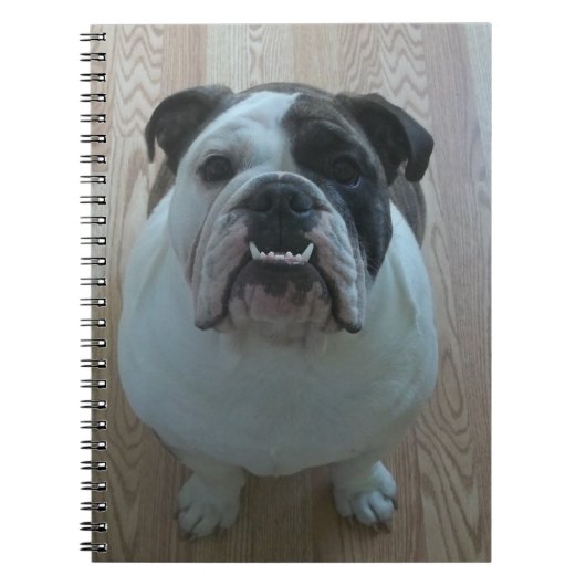 Carnet anglais de chiot de bouledogue (Devant)