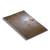 Carnet ANGST Survey Galaxy - NGC 3077 (Côté Droit)