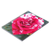 Carnet Anicia (Côté gauche)