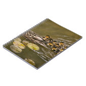 Carnet Animal - Canards - Nager comme un canard (Côté gauche)