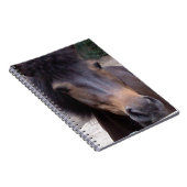 Carnet Animal, Cheval, Pony (Côté Droit)