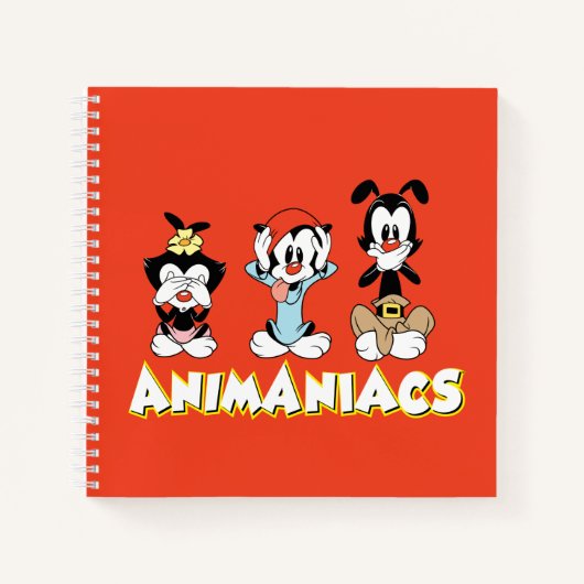 Carnet Animaniacs | Graphique de Warner Sibings "No Evil" (Devant)