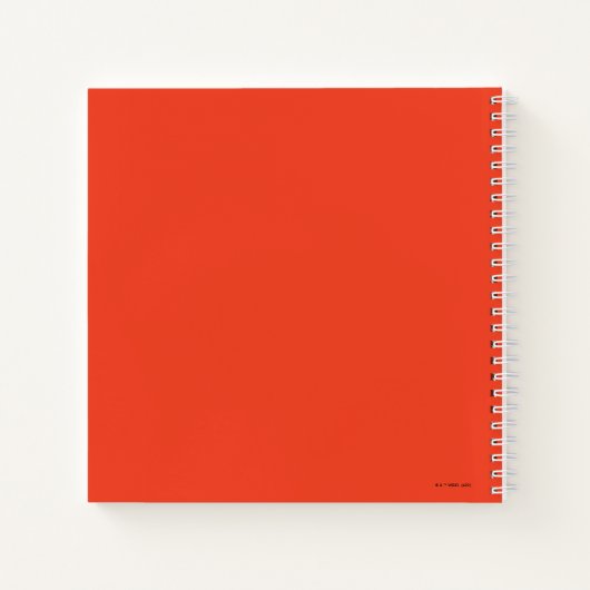 Carnet Animaniacs | Graphique de Warner Sibings "No Evil" (Dos)