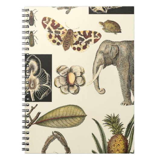 Carnet Animaux agressés peints sur Arrière - plan de crèm (Devant)