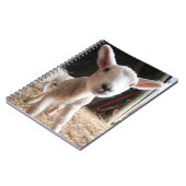 Carnet Animaux de bébés cutest | Agneau mignon dans une f (Côté gauche)