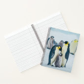 Carnet Animaux de bébés cutest | Alimentation de pingouin (Intérieur)