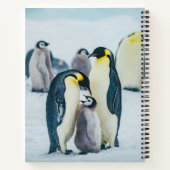 Carnet Animaux de bébés cutest | Alimentation de pingouin (Dos)