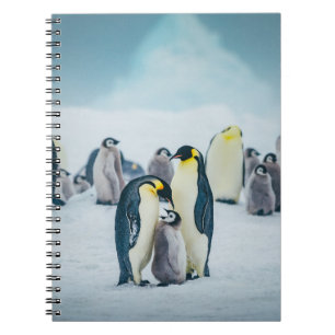 Carnet Animaux de bébés cutest Alimentation de pingouin