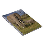 Carnet Animaux de bébés cutest | Amama Elephant Avec Bébé (Côté Droit)