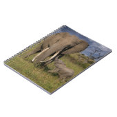 Carnet Animaux de bébés cutest | Amama Elephant Avec Bébé (Côté gauche)