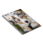 Carnet Animaux de bébés cutest | Australian Shepherd Pupp (Côté Droit)