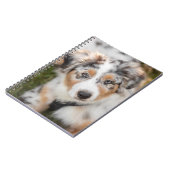 Carnet Animaux de bébés cutest | Australian Shepherd Pupp (Côté gauche)