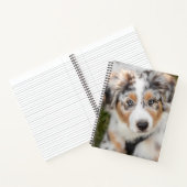 Carnet Animaux de bébés cutest | Australian Shepherd Pupp (Intérieur)