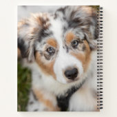 Carnet Animaux de bébés cutest | Australian Shepherd Pupp (Dos)