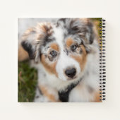 Carnet Animaux de bébés cutest | Australian Shepherd Pupp (Dos)