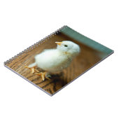 Carnet Animaux de bébés cutest | Baby Chick (Côté gauche)
