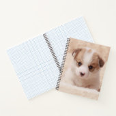 Carnet Animaux de bébés cutest | Baby Corgi (Intérieur)